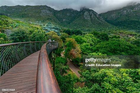 1,033 Kirstenbosch Botanic Gardens Stock Photos